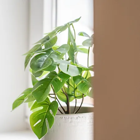 Beato Riverside Cozy * リスボン