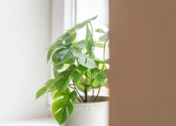 Beato Riverside Cozy * Lisboa