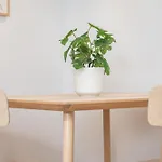 Beato Riverside Cozy Appartement *